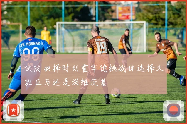 攻防抉择时刻霍华德挑战你选择文班亚马还是诺维茨基