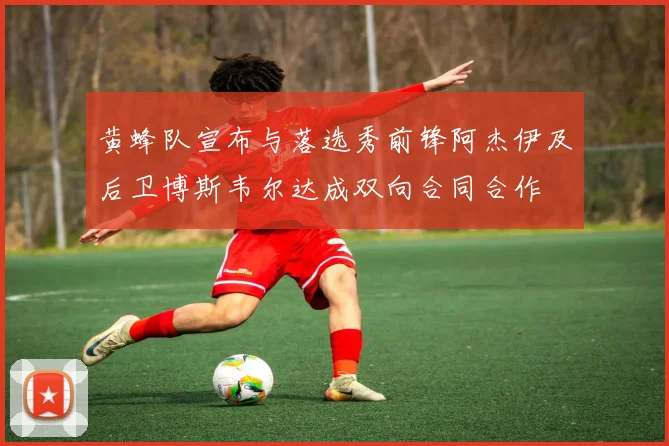 黄蜂队宣布与落选秀前锋阿杰伊及后卫博斯韦尔达成双向合同合作