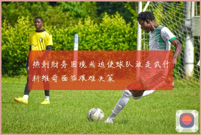 热刺财务困境或迫使球队放走武什科维奇面临艰难决策